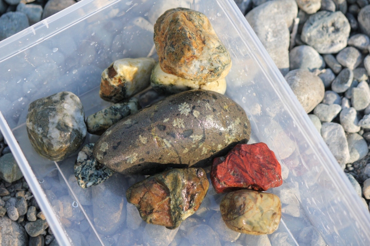 Some of the rocks we found at Cowichan River today, including Dallasite, red jasper and Flowerstone.
